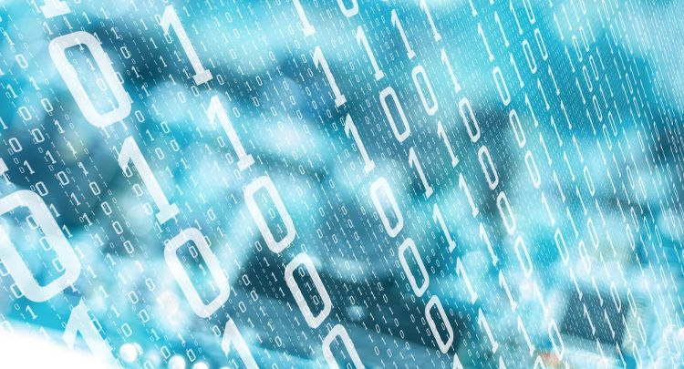 Pharmavite partners with Brightseed to discover phytonutrients via AI