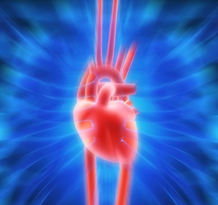 Photo © iStockphoto.com/Eraxion