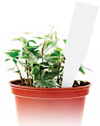 Photo © iStockphoto.com/Jill Chen