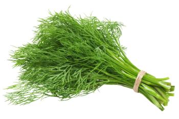 dill