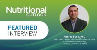 The role of B6, B12, and folate in one-carbon metabolism and SAMe synthesis