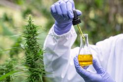 FDA’s review of CBD’s oral toxicity should look at dietary supplement dosages, not just drug dosages, CRN writes to agency