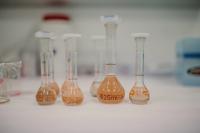 Nektium to Showcase Zynamite and Rhodiolife Energy Concepts at Vitafoods 2026, Backed by Clinical Research