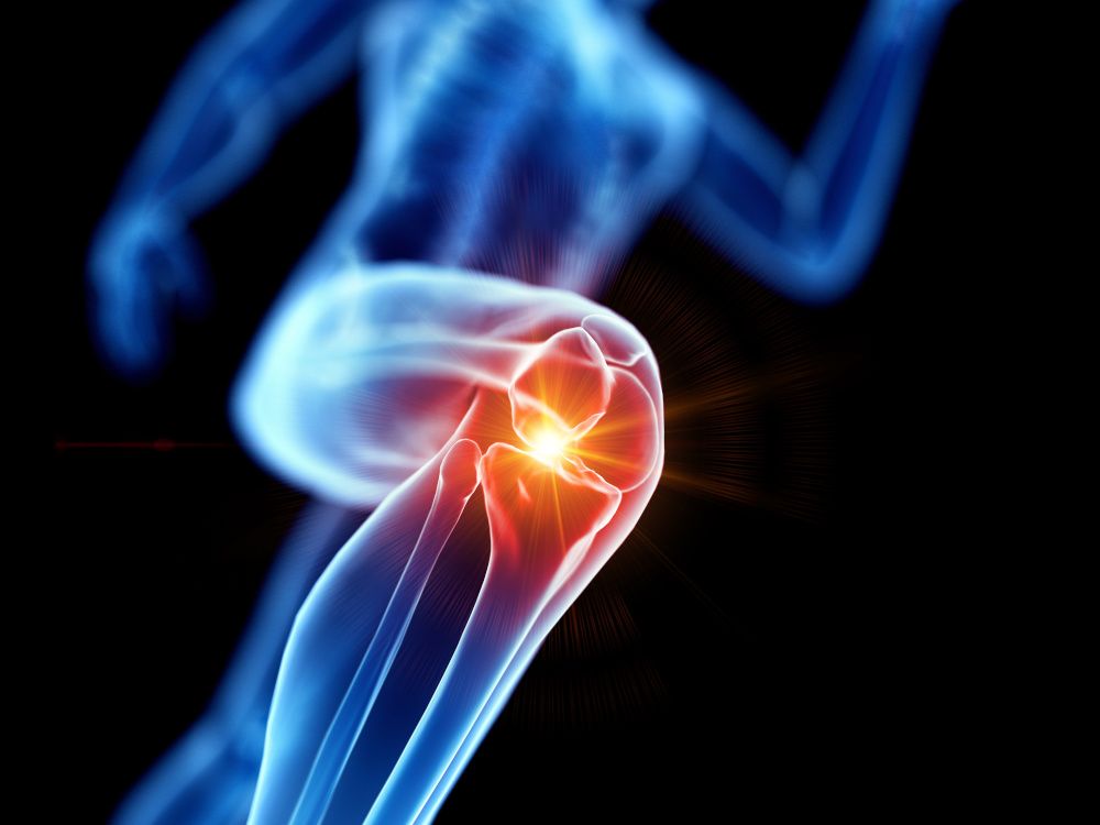 Stratum Nutrition grows reach of patents for eggshell membrane, plus a clinical trial model for joint health
