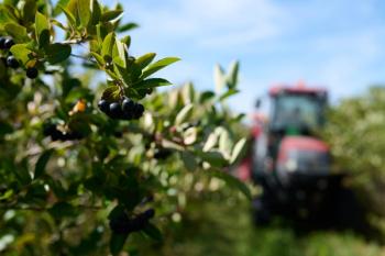 Image Courtesy of Greenvit