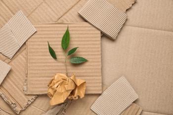 Packaging in a pandemic: Sustainable packaging still a priority during COVID-19