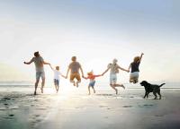 Symrise and Probi Highlight Biotic and Botanical Innovations, Signaling Expansion in Vascular and Postbiotic Categories