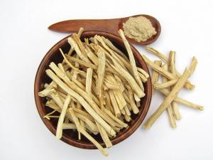 Shatavari: The Next Breakout Botanical