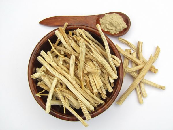 Shatavari: The Next Breakout Botanical