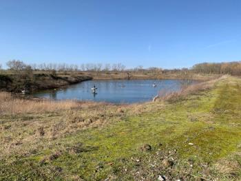  Beneo to transform nearby settling pond into wildlife sanctuary