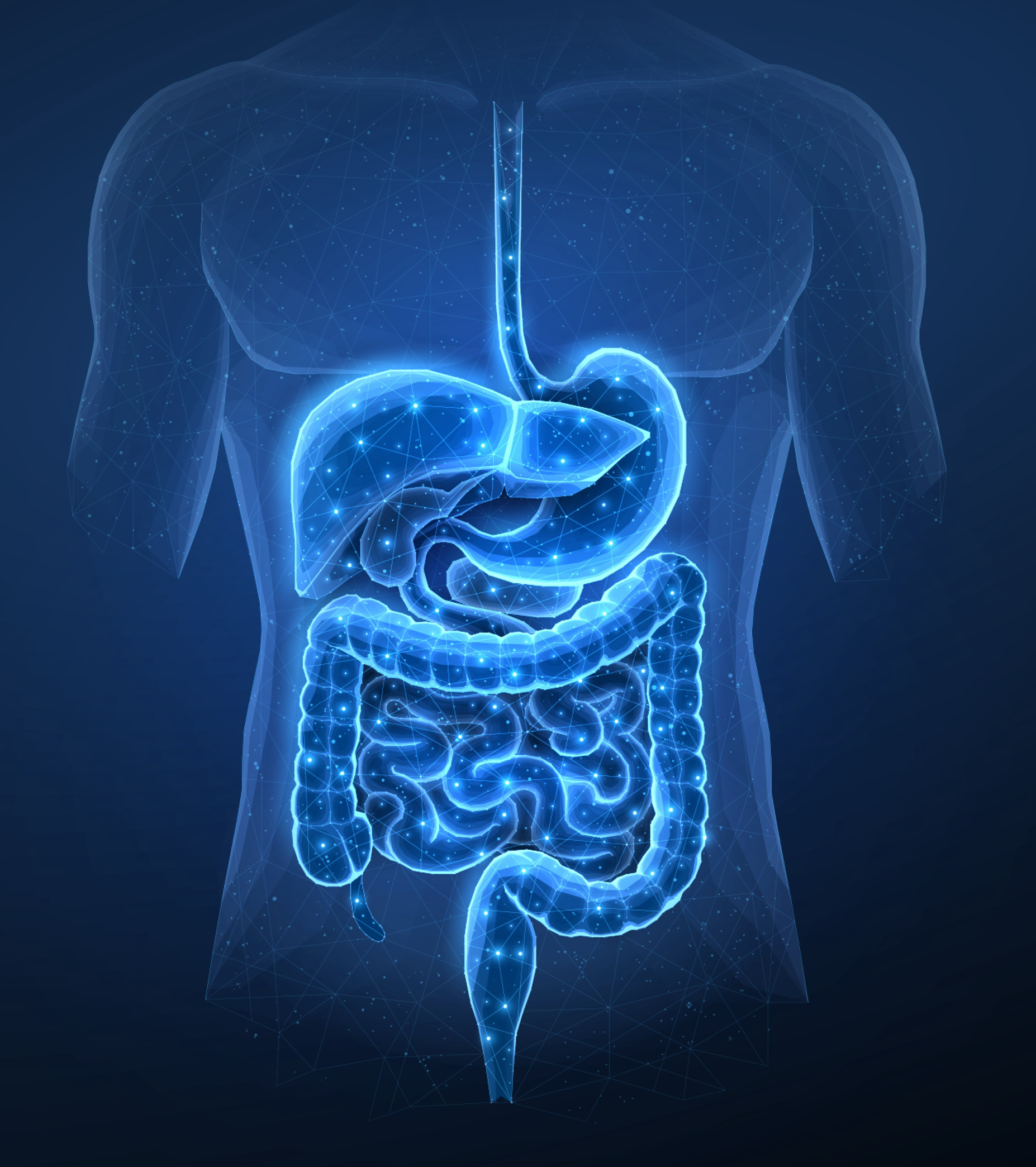gut health