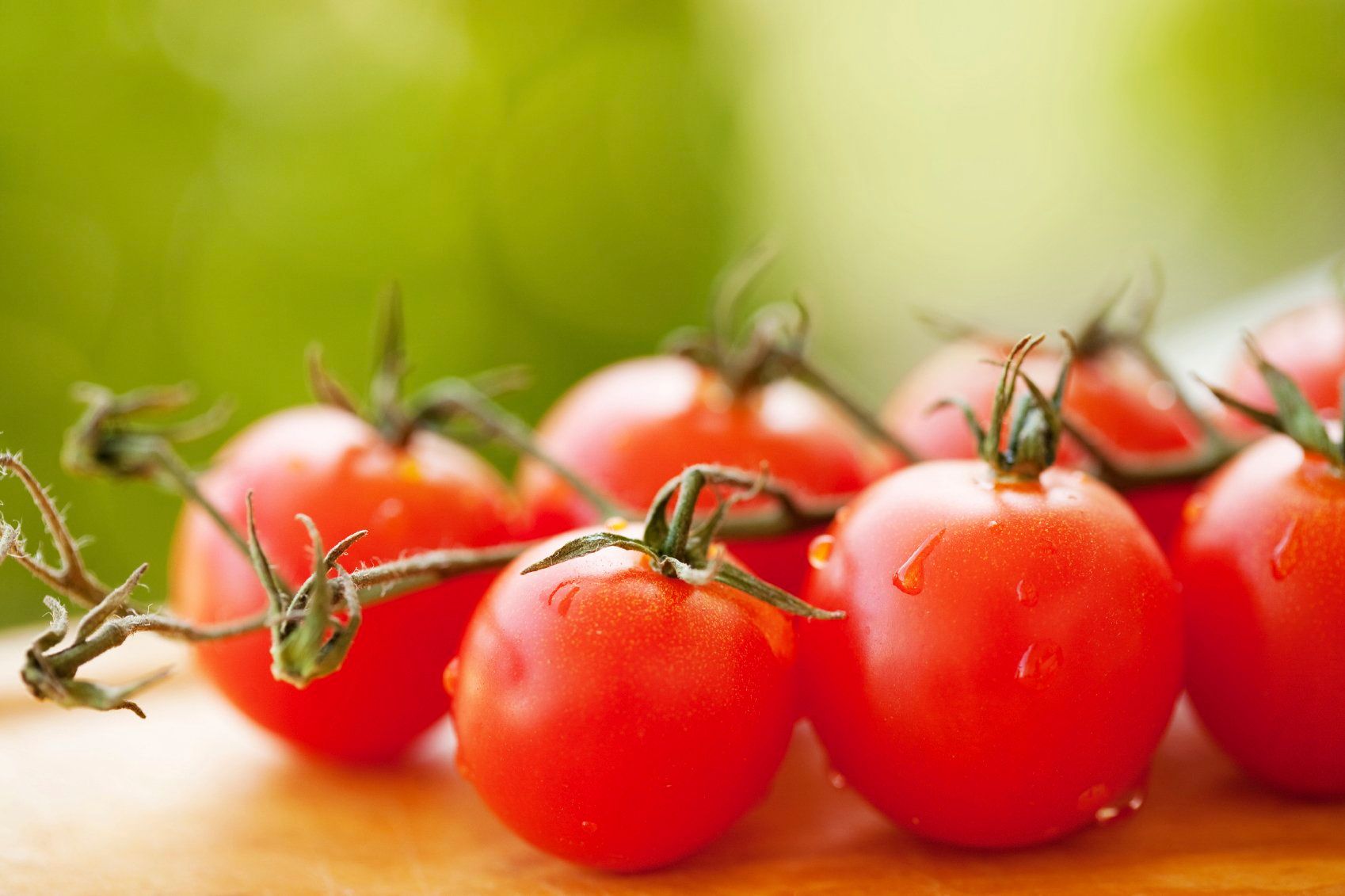 Friday Fun Fact: Flavr Savr Tomato