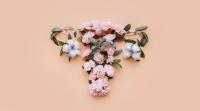 Botanical Innovation and Product Development Pathways in Menopause Management