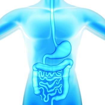 Photo © iStockphoto.com/iLexx