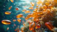 What GOED's 2026 Ingredient Market Report Reveals About Omega-3 Volume and Value