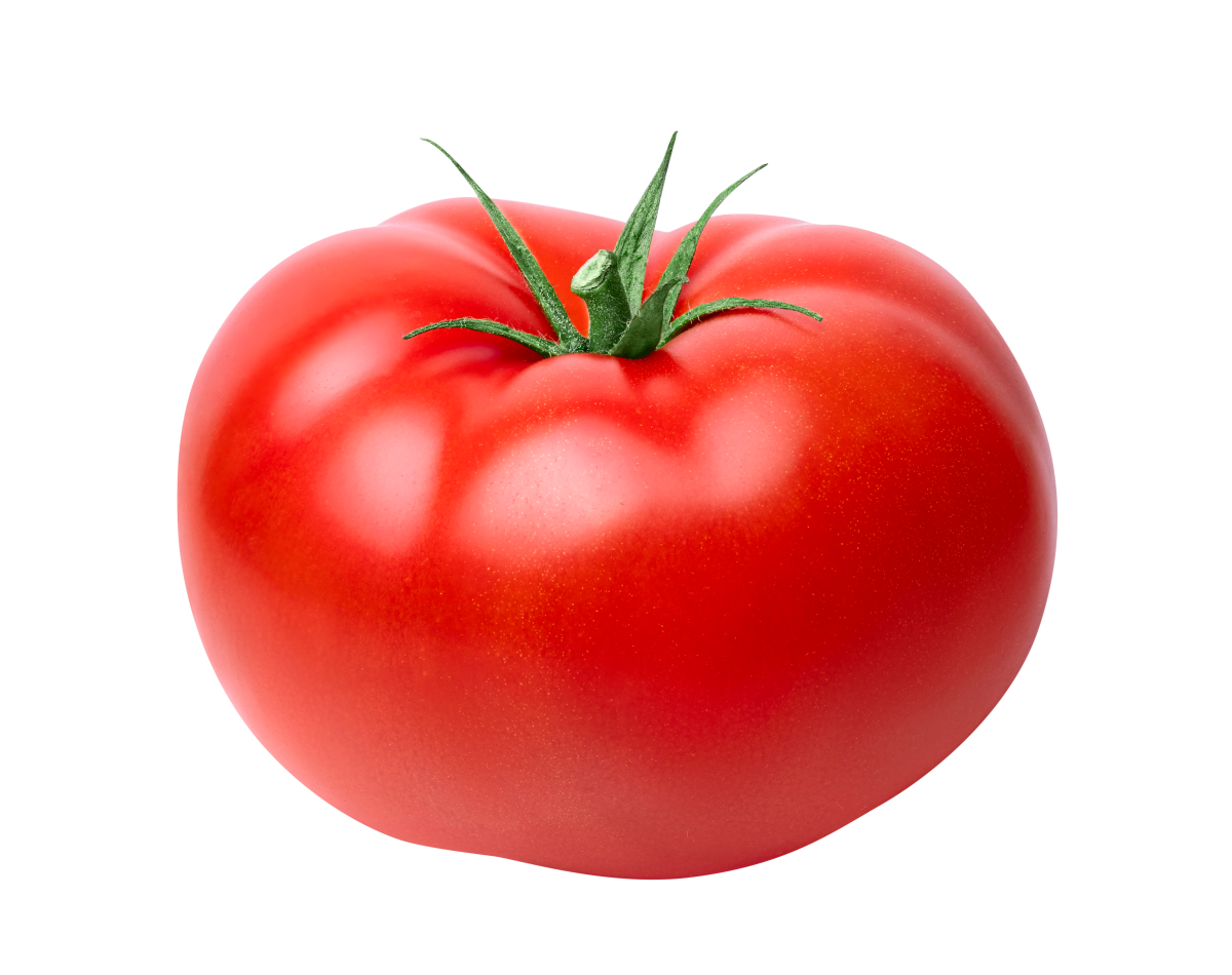 Fresh Market Vs Processed Tomatoes fresh-market-vs-processed-tomatoes