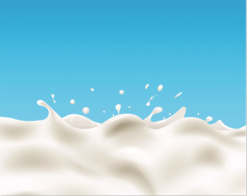 Photo © Shutterstock.com/Ridkous Mykhailo