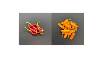 Images Courtesy of Sensient Agricultural Ingredients