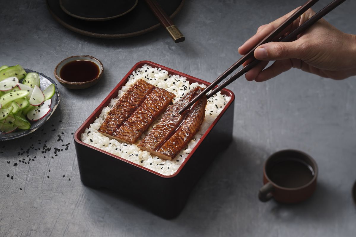 cultured eel unagi