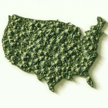 US map covered in cannabis leaves. 