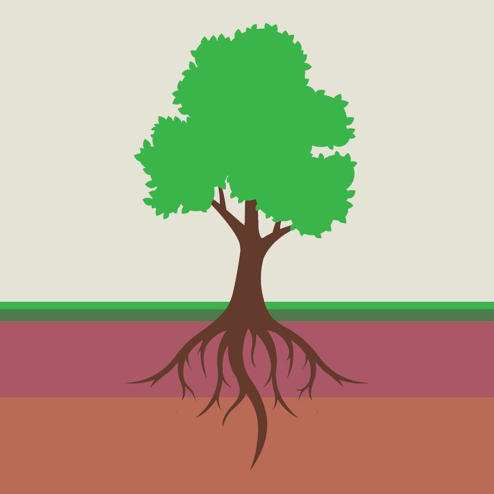 Branching Out: Plant-based products rely on e-commerce as shelf space gets crowded
