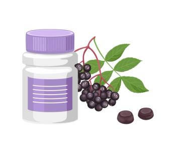 Respect your elders: Checking in with elderberry