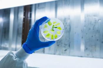 Foodtech startup repurposes tobacco plants to create growth medium for cultivated meat