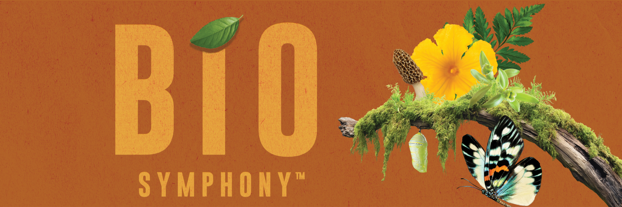 Image Courtesy of Sensient Flavors & Extracts