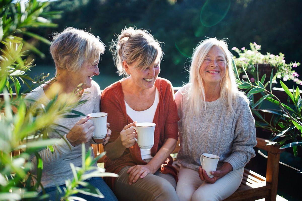 New animal research highlights the potential for cannabinol to support cognition in aging brains