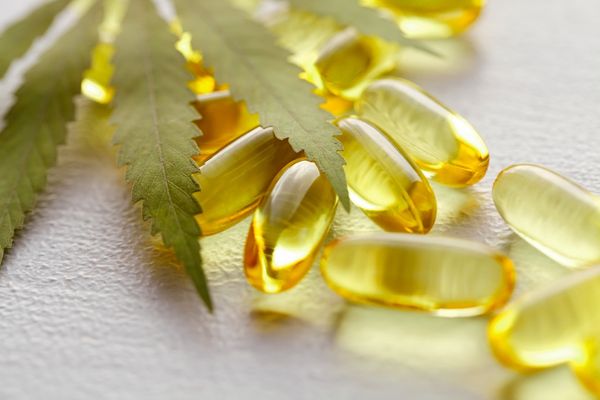 FloraWorks Pairs TruCBN Toxicology Data with Internal GRAS Assessment