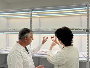 Scientists looking at berry cells in petri dish