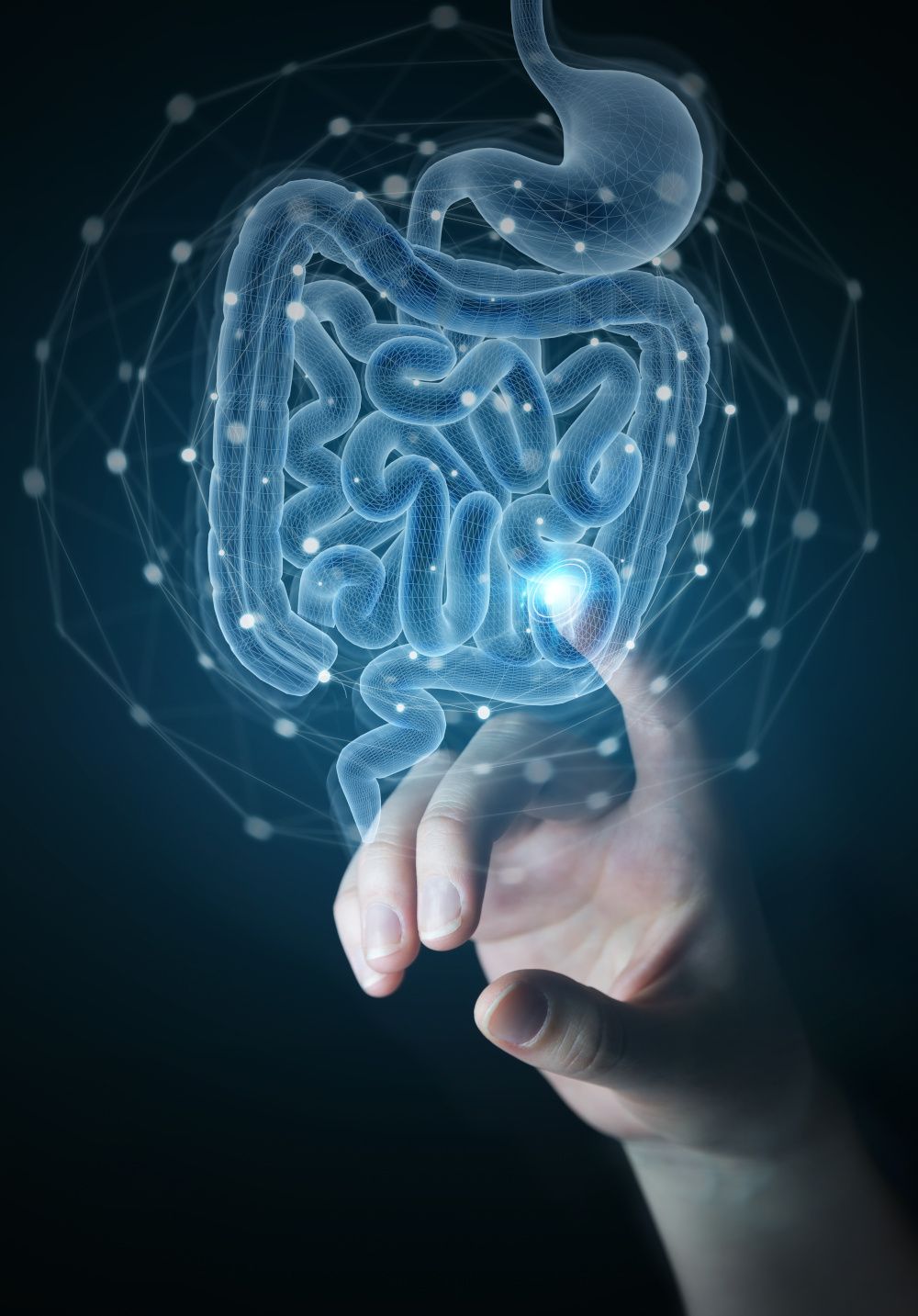 Can probiotics manage metabolism, mood, and body mass?