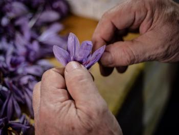 Pharmactive’s Environmental Management System gets ISO certification