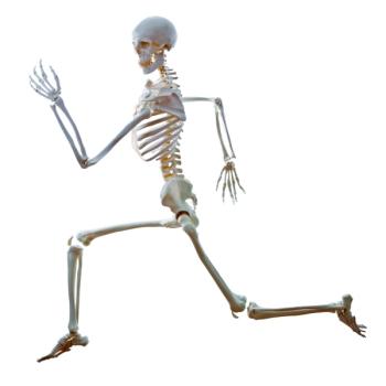 Photo © iStockphoto.com/archives