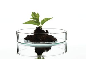 What Does High-Quality Ingredient Testing Look Like?