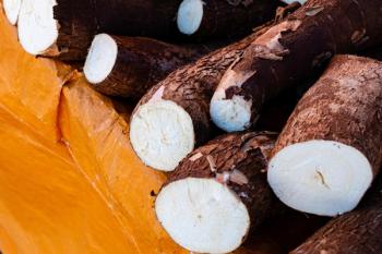 Cargill doubling tapioca syrup production to meet demand