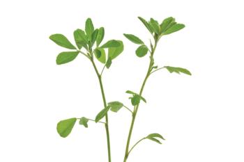 Photo © iStockphoto.com/PicturePartners