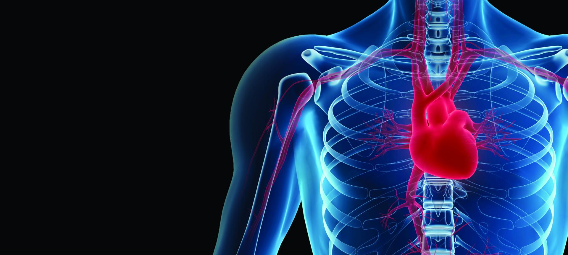 Photo © iStockphoto.com/comotion_design