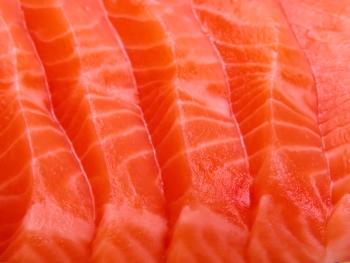 salmon meat up close
