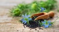 TriNutra's Standardized Black Seed Oil Enters South Korea Through New Retail Partnership