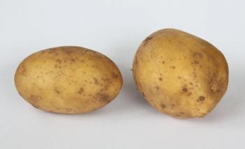 Photograph by Holger Casselmann/Wikimedia Commons/CC-BY-SA-3.0.