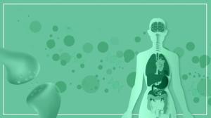 The endocannabinoid system, hemp, and CBD: The bigger picture