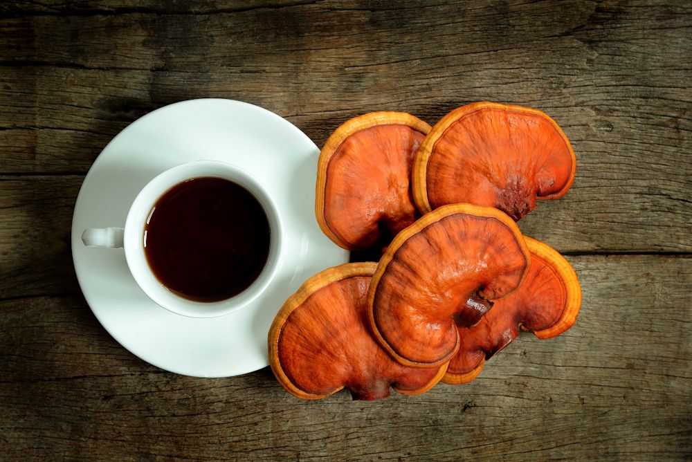 Is the gut health the next stop for medicinal mushrooms? New Prenexus white paper suggests yes.