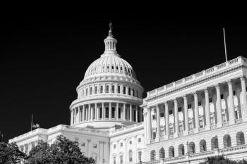 Image | adobe.stock/Larry