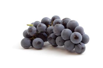 Photo © Shutterstock.com/pkstock