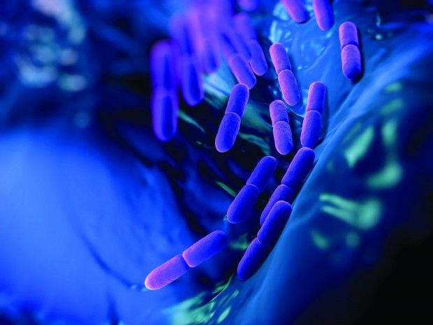 Photo © iStockphoto.com/royaltystockphoto