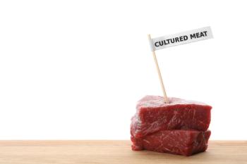 Aleph Farms says it’s submitted Europe’s first application for cultivated meat