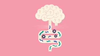 illustration depicting the gut-brain axis