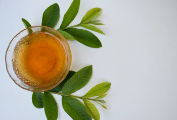 guava leaf tea