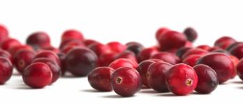Fruit d’Or launches smaller-mesh-size cranberry powder suited for gummies, softgels, and more at Vitafoods Europe 2023